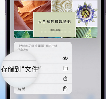 华南热作学院apple维修中心分享iPhone文件应用中存储和找到下载文件