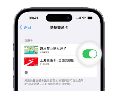 华南热作学院apple维修点分享iPhone上更换Apple Pay快捷交通卡手绘卡面 