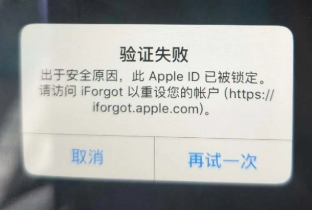 华南热作学院iPhone维修分享iPhone上正常登录或使用AppleID怎么办 