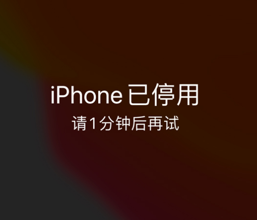 华南热作学院苹果手机维修分享:iPhone 显示“不可用”或“已停用”怎么办？还能保留数据吗？ 