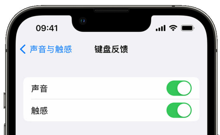 华南热作学院苹果手机维修分享iPhone 14触感键盘使用方法 