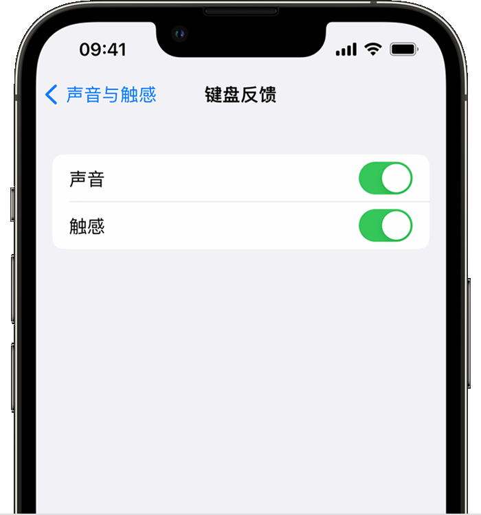 华南热作学院苹果14维修店分享如何在 iPhone 14 机型中使用触感键盘 