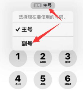 华南热作学院苹果14维修店分享iPhone 14 Pro Max使用副卡打电话的方法 