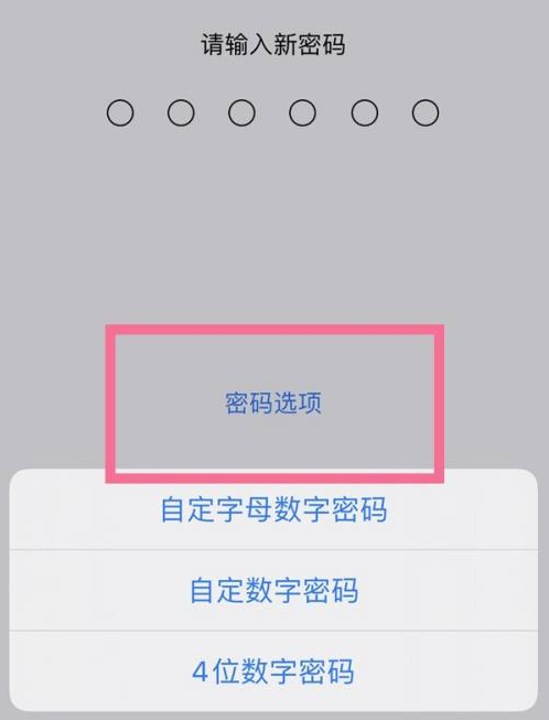 华南热作学院苹果14维修分享iPhone 14plus设置密码的方法 