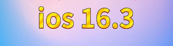 华南热作学院苹果服务网点分享苹果iOS16.3升级反馈汇总 