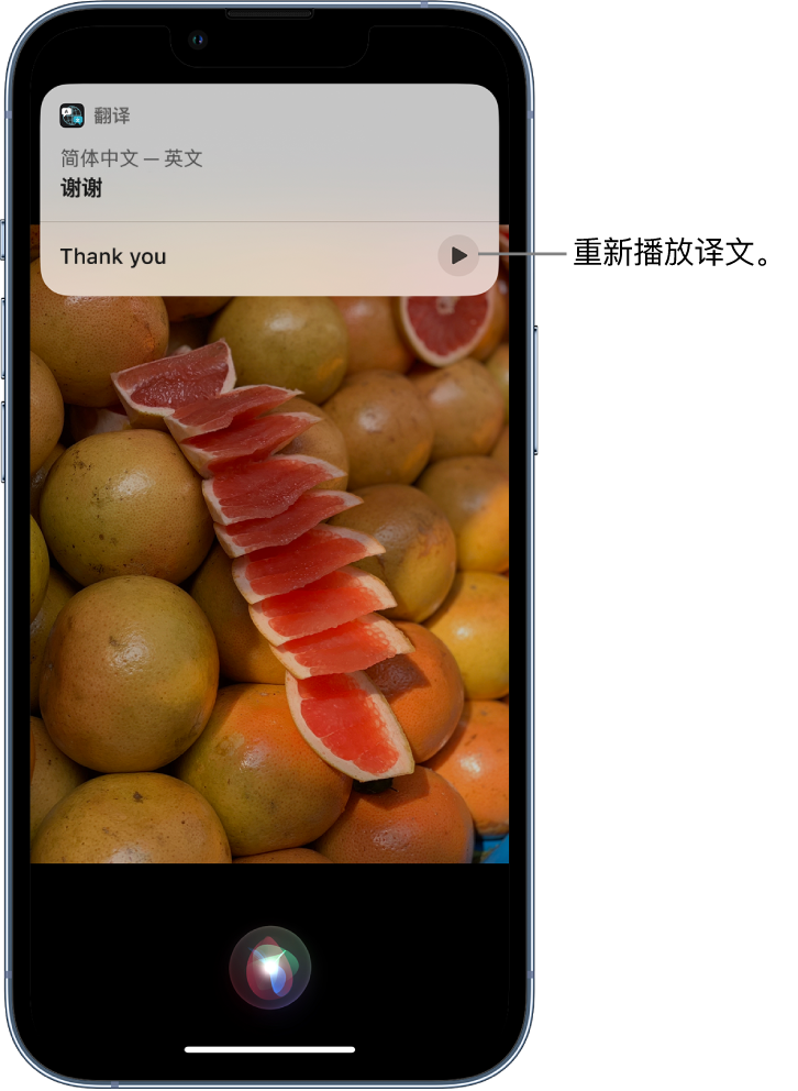 华南热作学院苹果14维修分享 iPhone 14 机型中使用 Siri：了解 Siri 能帮你做什么 