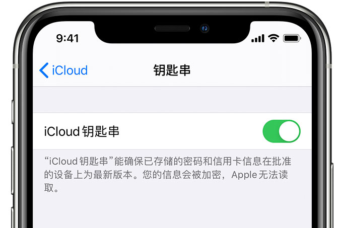 华南热作学院苹果手机维修分享在 iPhone 上开启 iCloud 钥匙串之后会储存哪些信息 